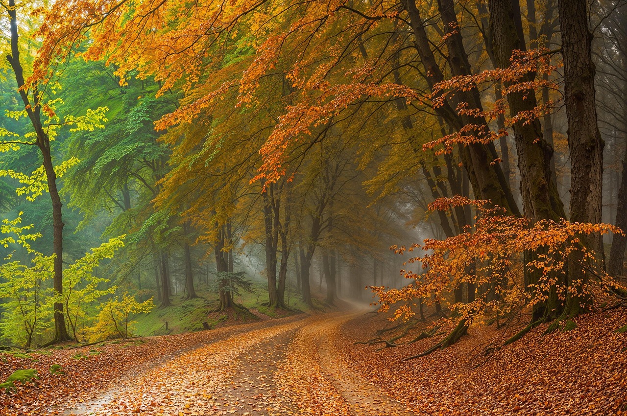 What Is Mindfulness? A Practical Guide to Awareness in Everyday Life